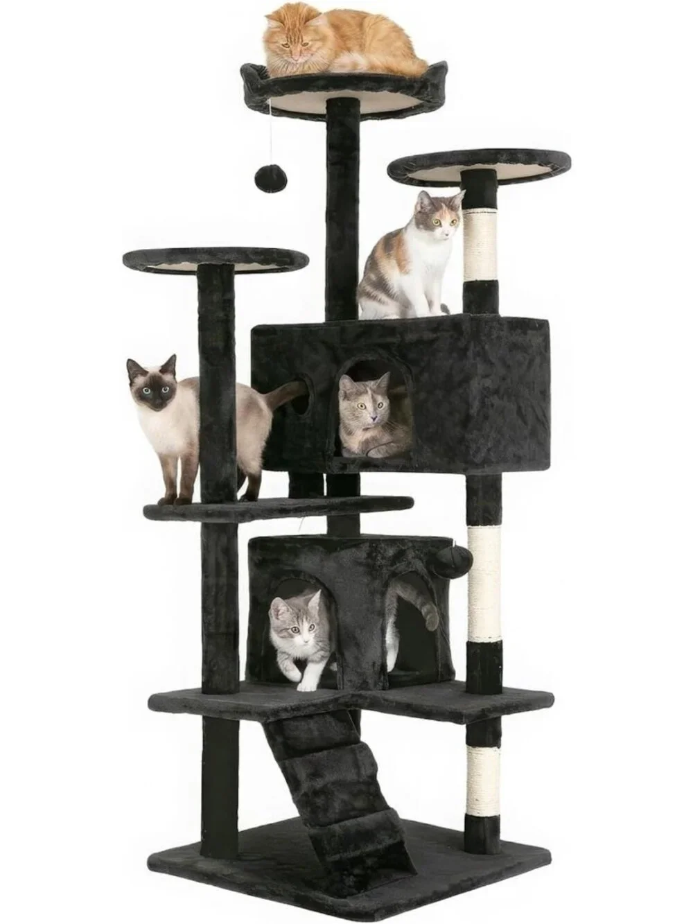 Multi-Level 54